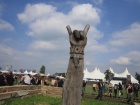 12woa49.JPG