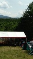 2017alpenflair6.JPG